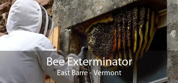 Bee Exterminator East Barre - Vermont