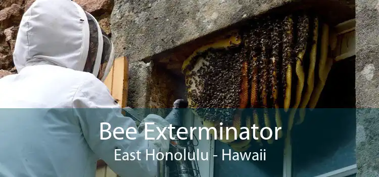 Bee Exterminator East Honolulu - Hawaii