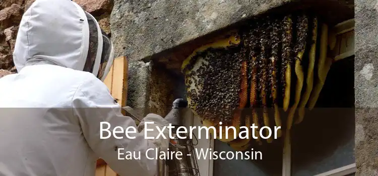 Bee Exterminator Eau Claire - Wisconsin