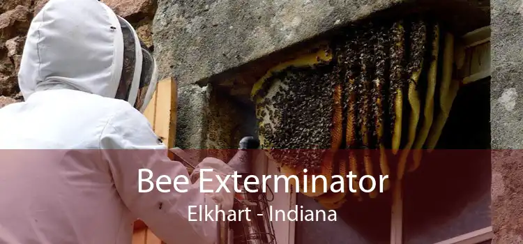 Bee Exterminator Elkhart - Indiana