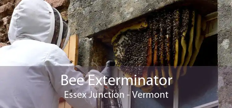 Bee Exterminator Essex Junction - Vermont