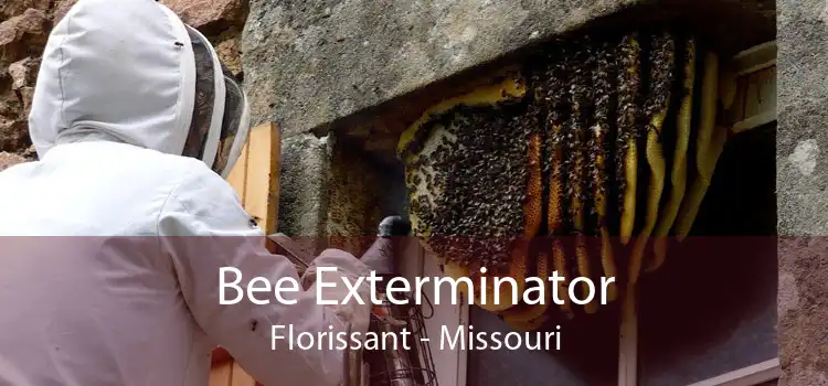 Bee Exterminator Florissant - Missouri