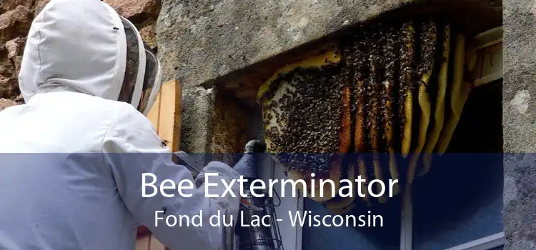 Bee Exterminator Fond du Lac - Wisconsin