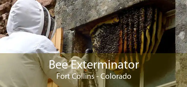 Bee Exterminator Fort Collins - Colorado