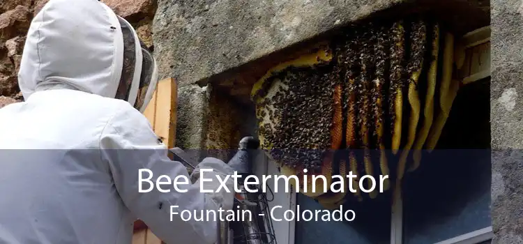 Bee Exterminator Fountain - Colorado