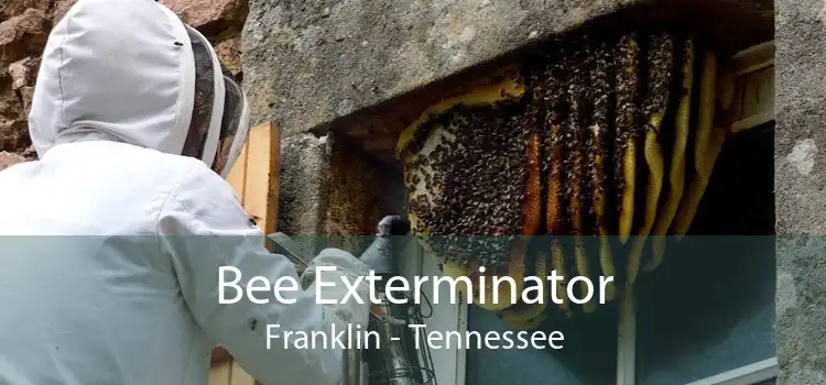 Bee Exterminator Franklin - Tennessee