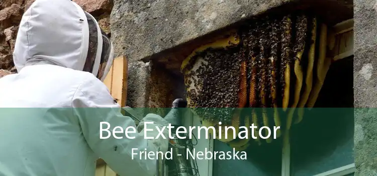 Bee Exterminator Friend - Nebraska