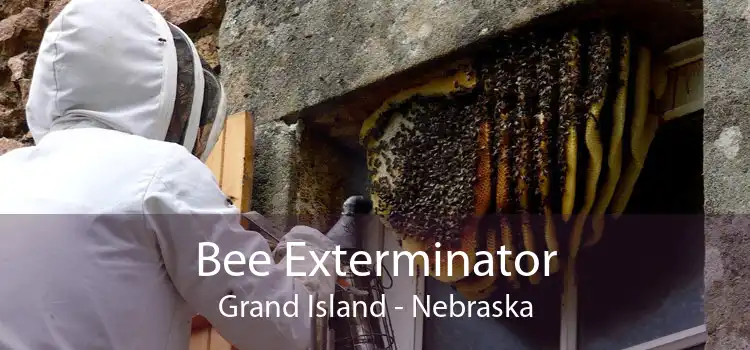 Bee Exterminator Grand Island - Nebraska