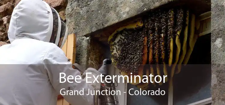 Bee Exterminator Grand Junction - Colorado