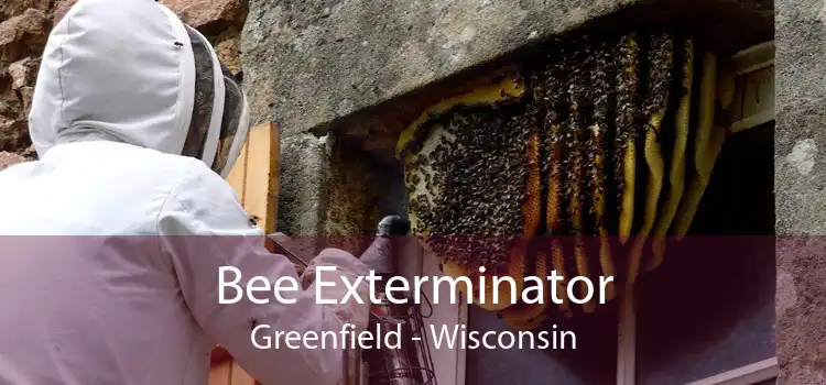 Bee Exterminator Greenfield - Wisconsin