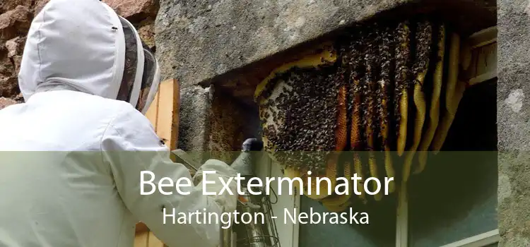 Bee Exterminator Hartington - Nebraska