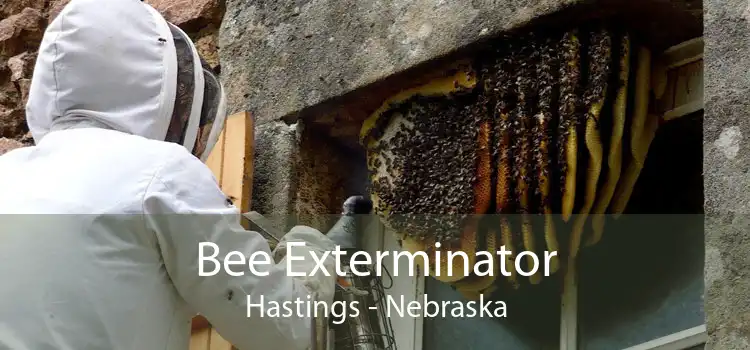 Bee Exterminator Hastings - Nebraska