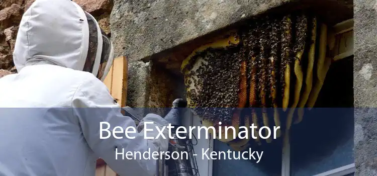 Bee Exterminator Henderson - Kentucky