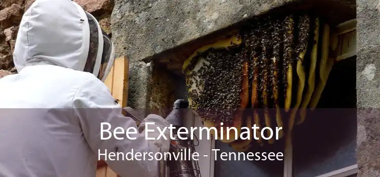 Bee Exterminator Hendersonville - Tennessee