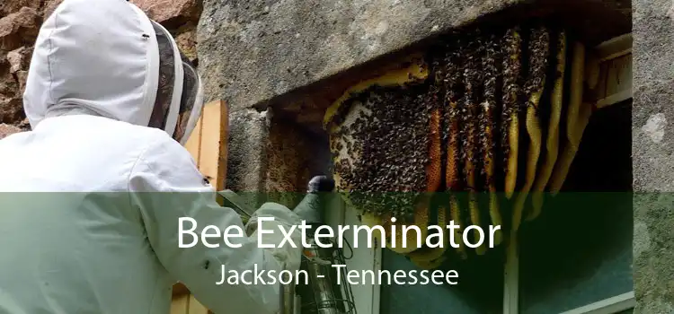 Bee Exterminator Jackson - Tennessee