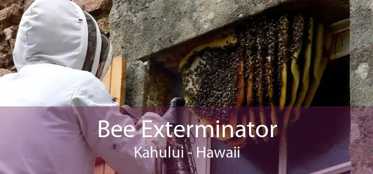 Bee Exterminator Kahului - Hawaii