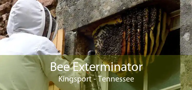 Bee Exterminator Kingsport - Tennessee