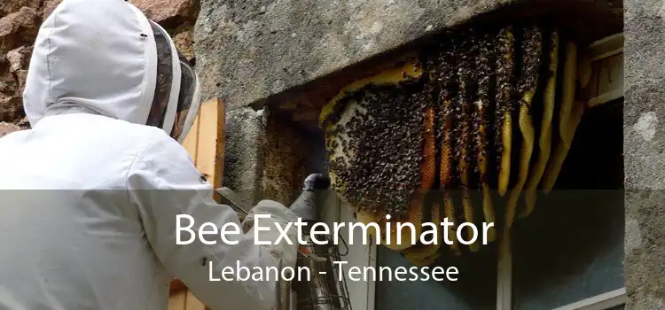 Bee Exterminator Lebanon - Tennessee