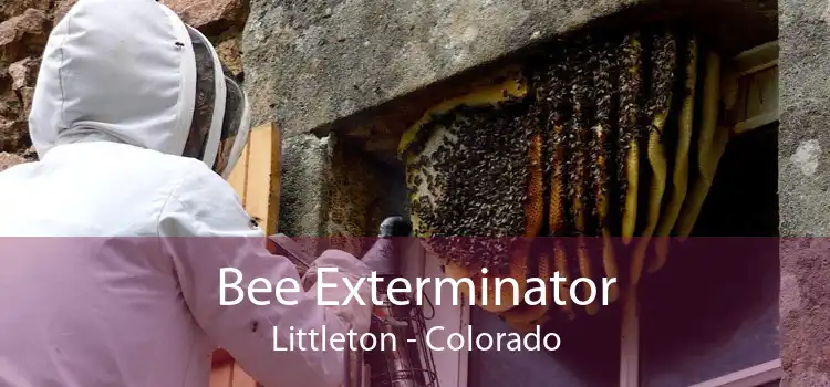 Bee Exterminator Littleton - Colorado