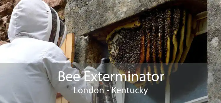 Bee Exterminator London - Kentucky