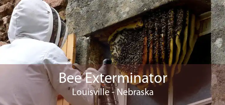 Bee Exterminator Louisville - Nebraska