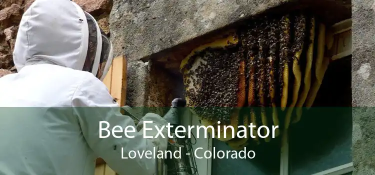 Bee Exterminator Loveland - Colorado