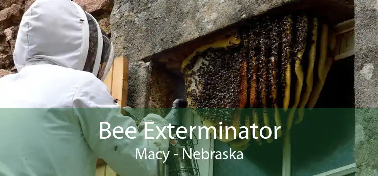 Bee Exterminator Macy - Nebraska