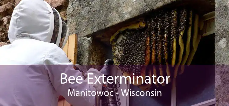 Bee Exterminator Manitowoc - Wisconsin