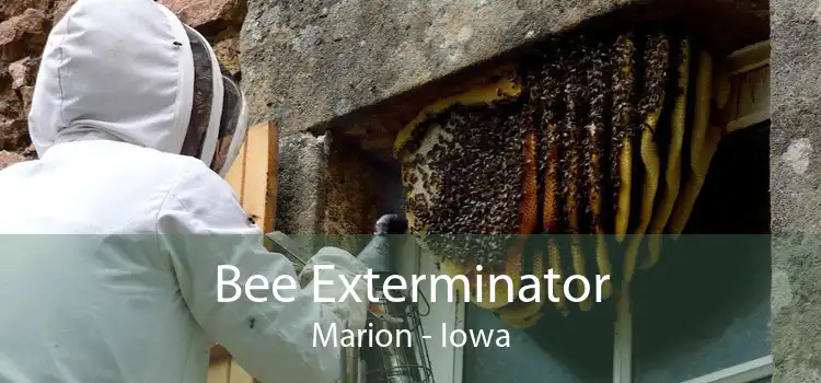 Bee Exterminator Marion - Iowa