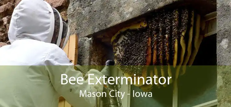 Bee Exterminator Mason City - Iowa