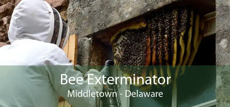 Bee Exterminator Middletown - Delaware