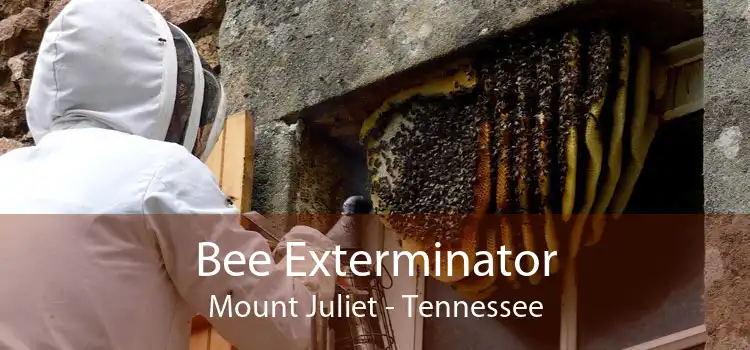 Bee Exterminator Mount Juliet - Tennessee