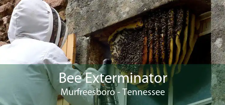 Bee Exterminator Murfreesboro - Tennessee