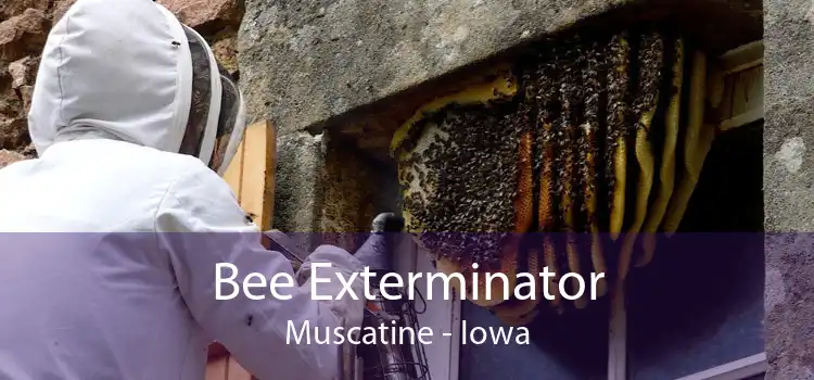 Bee Exterminator Muscatine - Iowa