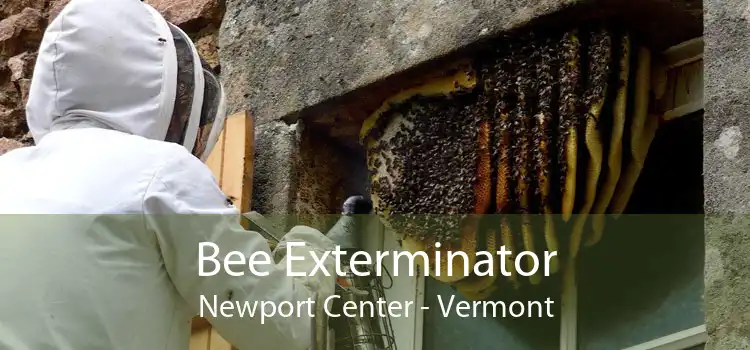 Bee Exterminator Newport Center - Vermont