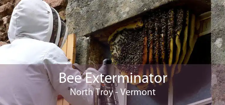 Bee Exterminator North Troy - Vermont