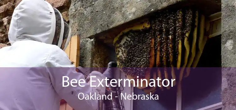 Bee Exterminator Oakland - Nebraska