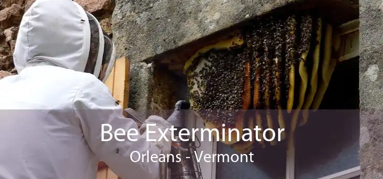 Bee Exterminator Orleans - Vermont