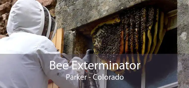 Bee Exterminator Parker - Colorado