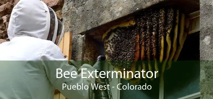 Bee Exterminator Pueblo West - Colorado