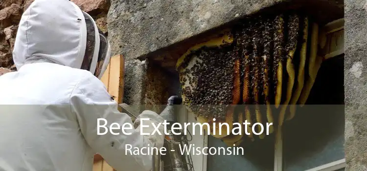 Bee Exterminator Racine - Wisconsin