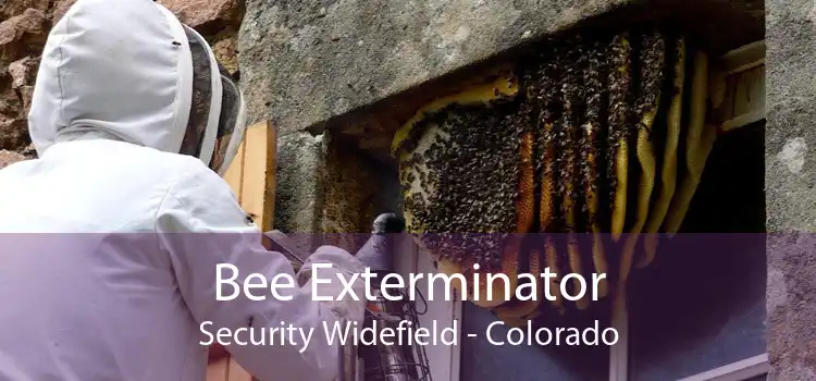 Bee Exterminator Security Widefield - Colorado