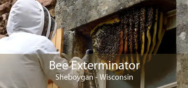 Bee Exterminator Sheboygan - Wisconsin