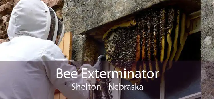 Bee Exterminator Shelton - Nebraska