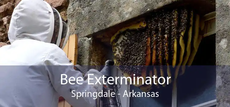 Bee Exterminator Springdale - Arkansas