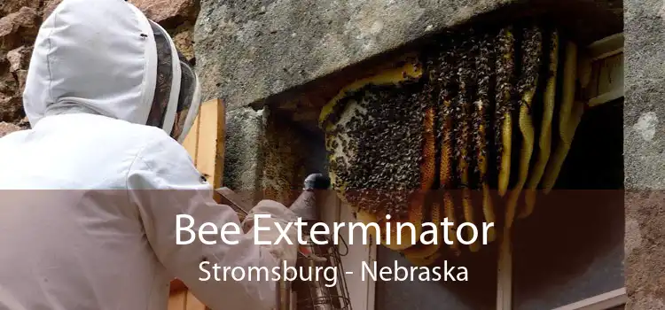 Bee Exterminator Stromsburg - Nebraska