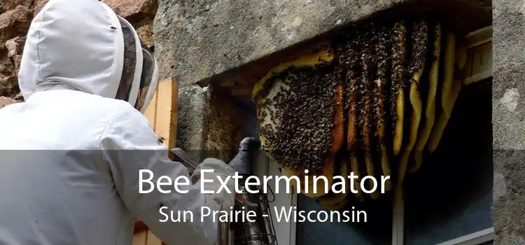 Bee Exterminator Sun Prairie - Wisconsin
