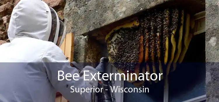 Bee Exterminator Superior - Wisconsin