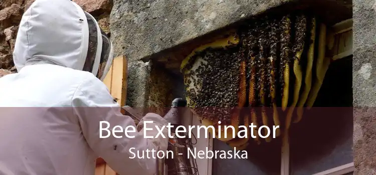 Bee Exterminator Sutton - Nebraska
