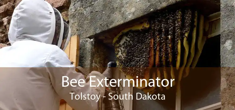 Bee Exterminator Tolstoy - South Dakota